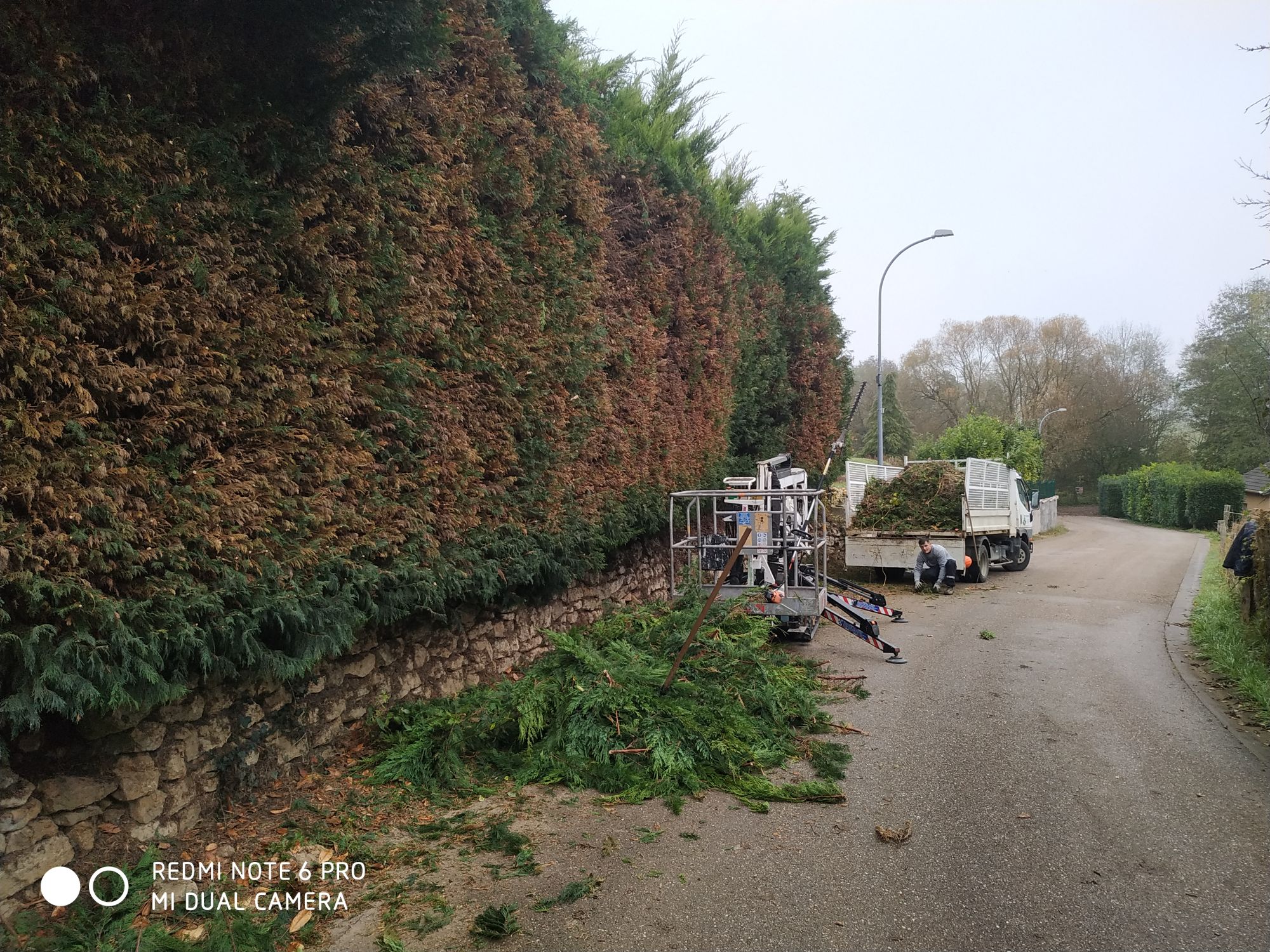 Taille, Éparage, Fauchage, débroussaillage robotisée d&#8217;espaces verts sur Verdun, Metz, Nancy, toul, étain, jarny Saint-Mihiel 0