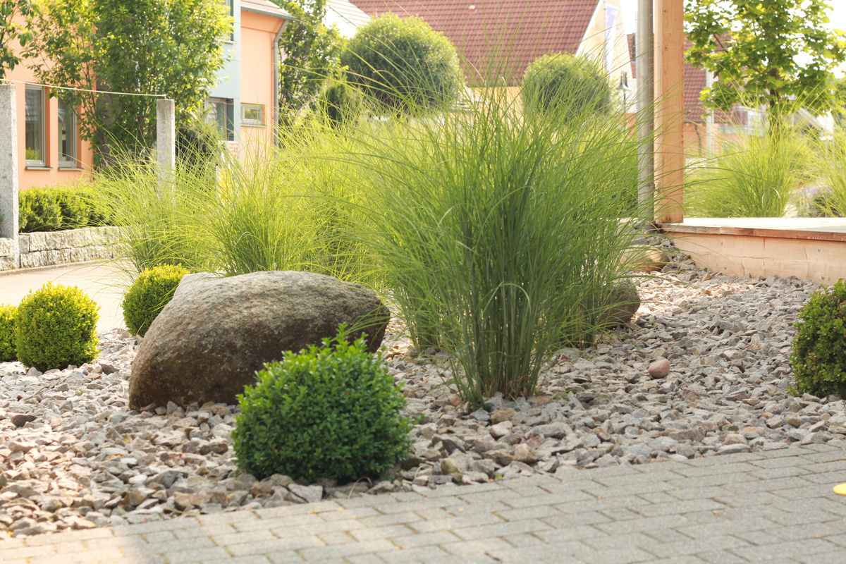 DESSIN PAYSAGE14 | Dessein Paysage Entretien et aménagements extérieurs par un paysagiste en Meuse, Moselle et Meurthe-et-Moselle Pagny-sur-Moselle