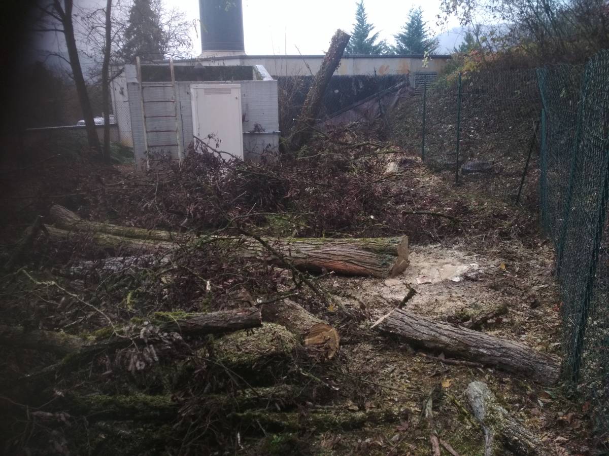 IMG_20181127_114203 | Dessein Paysage Elagage, abattage et broyage Verdun, Toul, Commercy, Bar-le -Duc, Jarny, Pont à Mousson Pagny-sur-Moselle