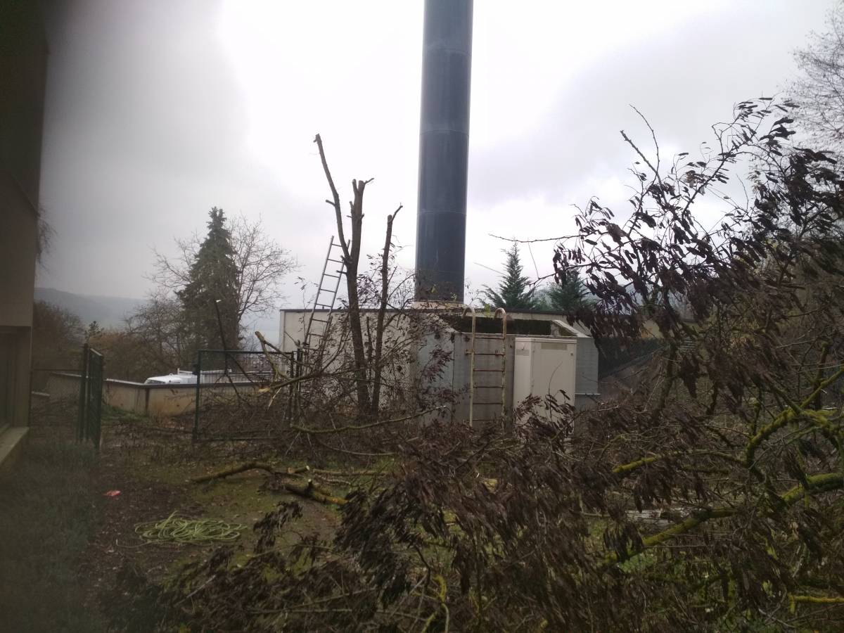 IMG_20181127_132921 | Dessein Paysage Elagage, Abattage et démontage d’arbres à pont à mousson Dieulouard