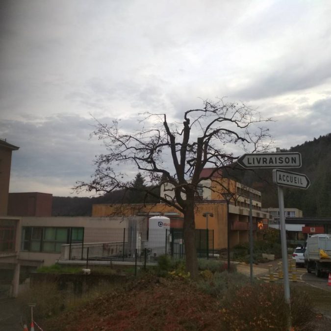 Elagage / Abattage / Broyage Saint-Mihiel 5