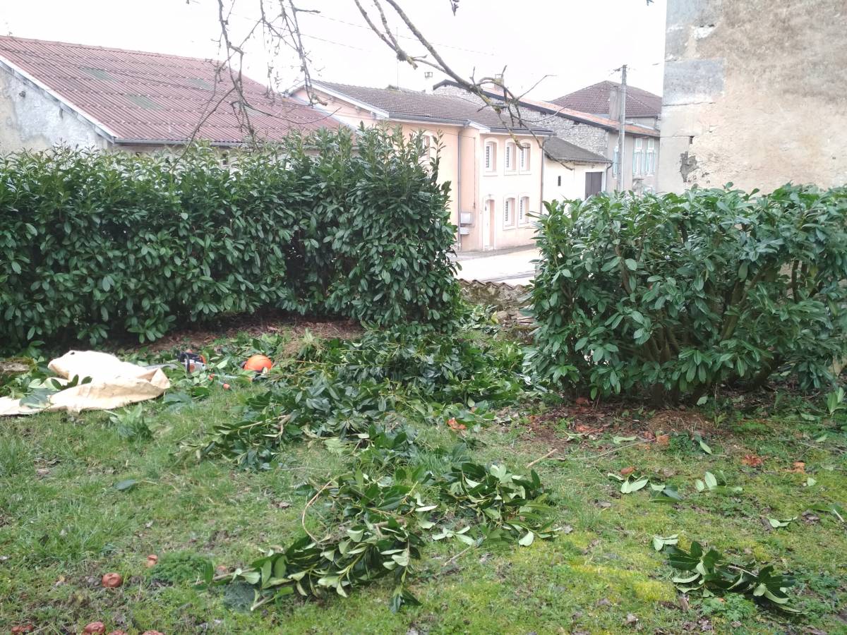 IMG_20190304_103126 | Dessein Paysage ENTRETIEN DES ESPACES VERTS VERDUN, JARNY, METZ, PONT 0 MOUSSON …. Dieulouard