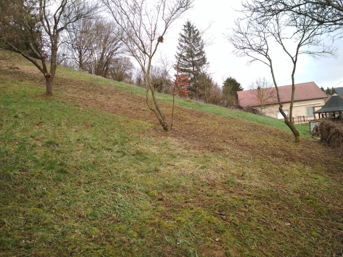 IMG_20190316_084212 | Dessein Paysage Tonte et débroussaillage pour particuliers et professionnels Pagny-sur-Moselle