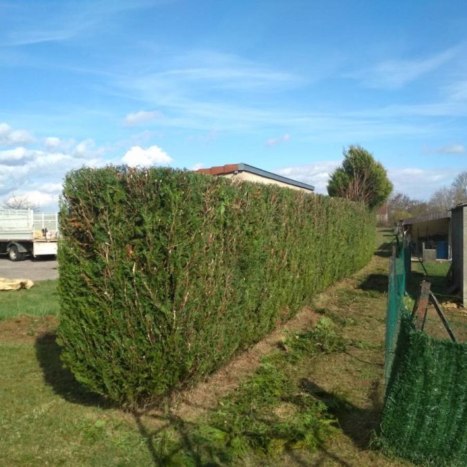 Taille, Éparage, Fauchage, débroussaillage robotisée d&#8217;espaces verts sur Verdun, Metz, Nancy, toul, étain, jarny Écrouves 4