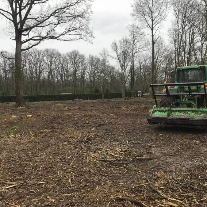 Elagage / Abattage / Broyage Ligny-en-Barrois 4