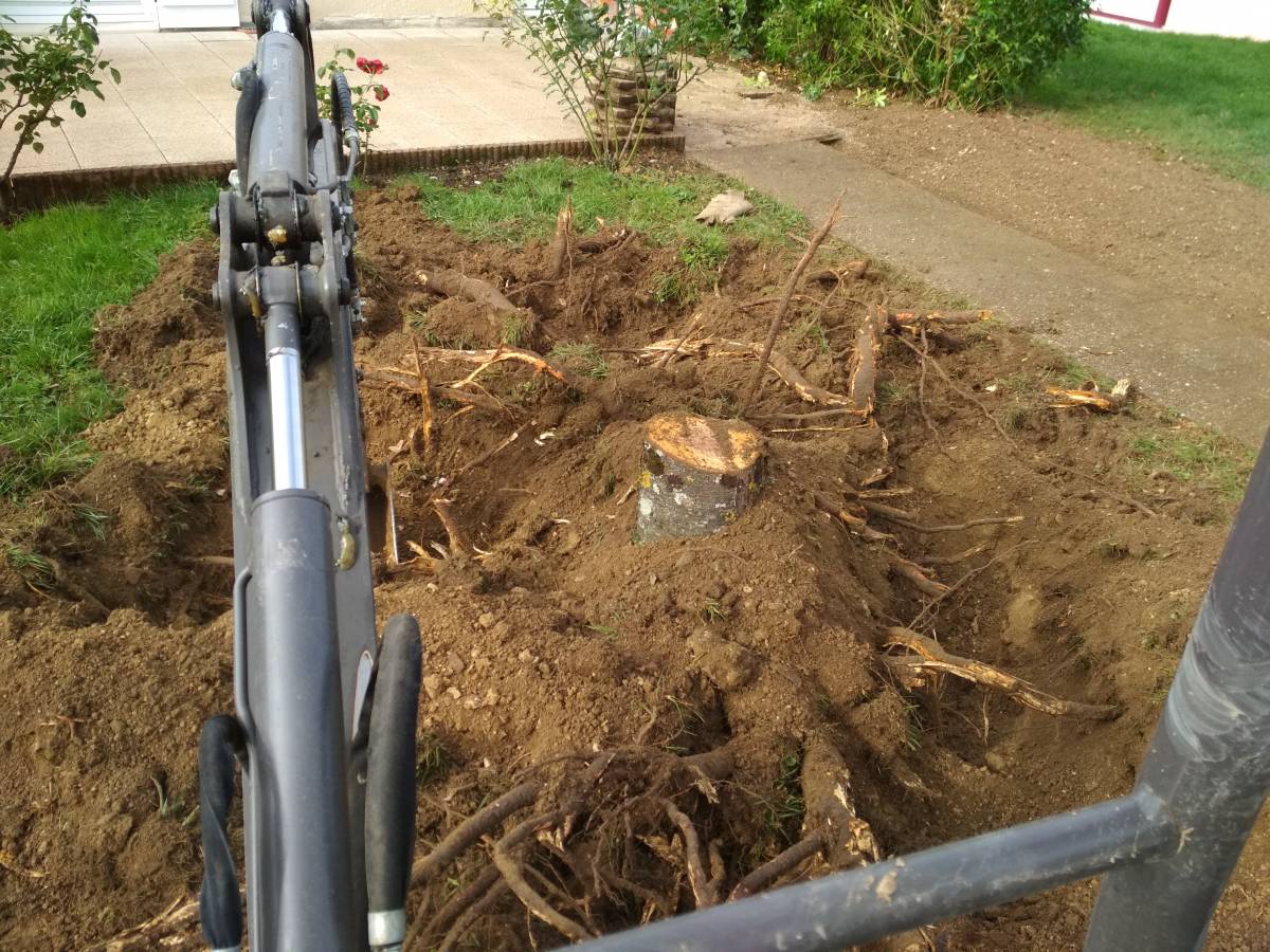 IMG_20191016_113336 | Dessein Paysage Broyage forestier, défrichage, rognage, dessouchage, broyage de branches toul, pont à mousson, verdun, jarny, commercy, bar-le-duc, saint-mihiel Blénod-lès-Pont-à-Mousson