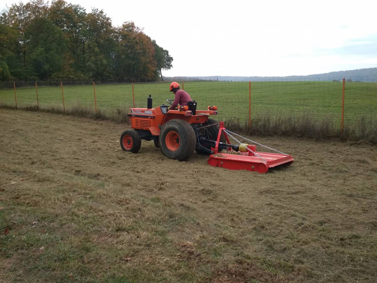 IMG_20191031_130831 | Dessein Paysage Paysagiste Verdun Gondreville