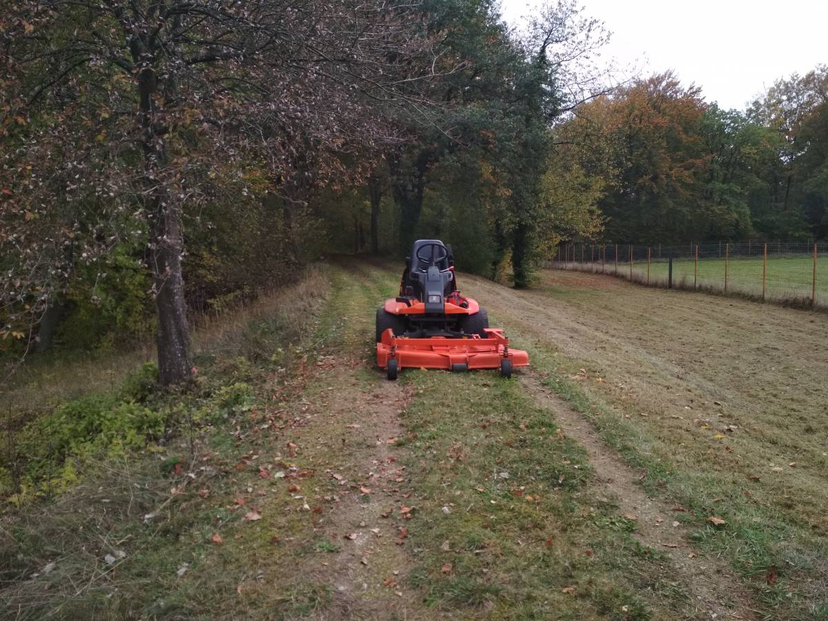 IMG_20191031_130834 | Dessein Paysage Elagage, abattage, fauchage, débroussaillage, broyage, tonte Verdun, etain, saint mihiel, dun sur meuse et alentours Toul