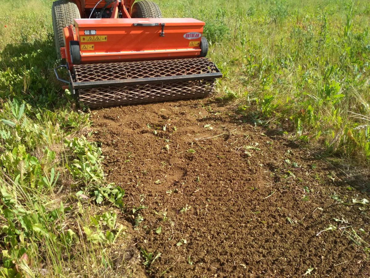 IMG_20190616_174911 | Dessein Paysage Travail du sol, engazonnement terrain public et privé nancy, verdun, jarny, toul, commercy Écrouves