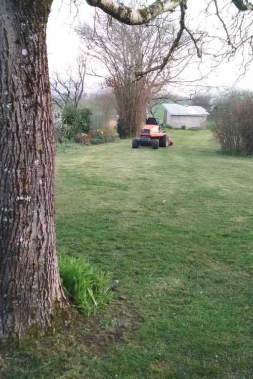 Taille, Éparage, Fauchage, débroussaillage robotisée d&#8217;espaces verts sur Verdun, Metz, Nancy, toul, étain, jarny Saint-Mihiel