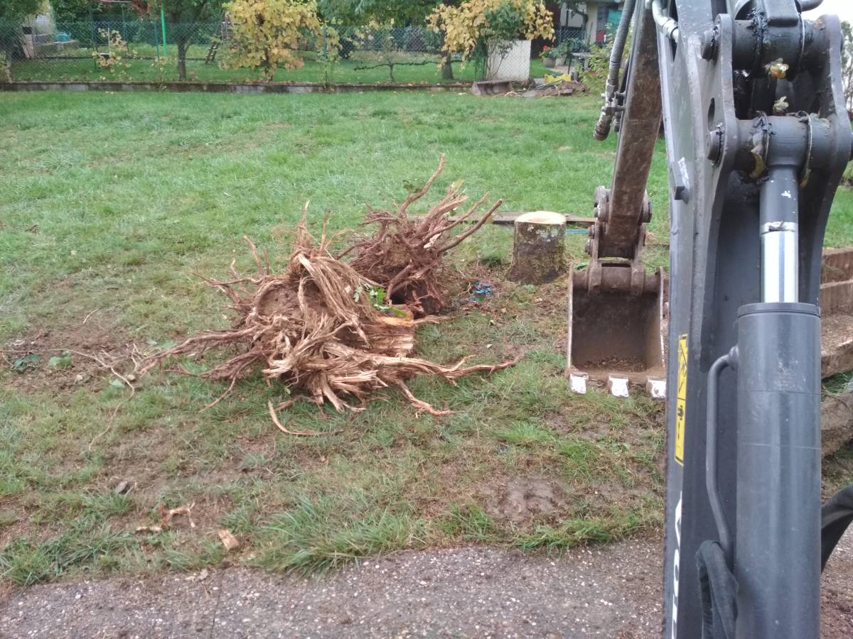 IMG_20191016_103605 | Dessein Paysage Terrassement, défrichage, dessouchage verdun, jarny, bar le duc, nancy, toul Saint-Mihiel