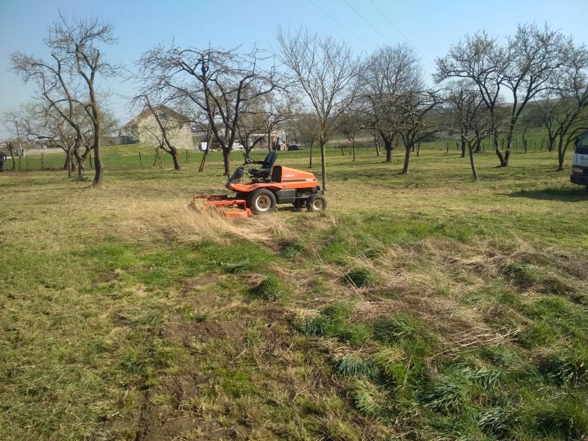 IMG_20200327_100037 | Dessein Paysage Entretien espaces verts : Tonte, broyage, fauchage toul, bar le duc, nancy, saint mihiel Blénod-lès-Pont-à-Mousson