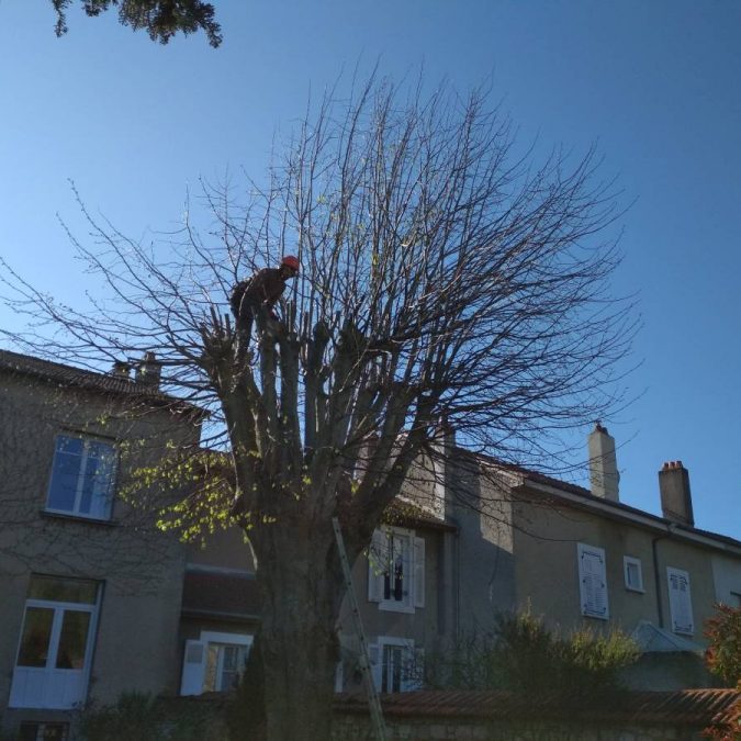 Elagage / Abattage / Broyage Pont-à-Mousson 3