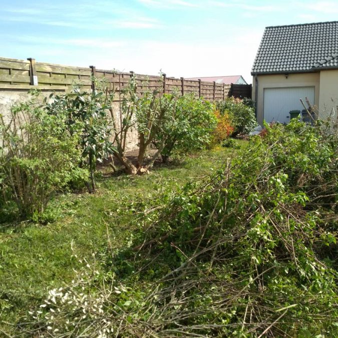 IMG_20200416_110419 675X675 | Dessein Paysage Élagage, abattage et broyage d’arbres à Verdun, Metz, Nancy, étain, jarny, bar-le-duc Écrouves 2
