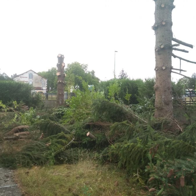 Elagage / Abattage / Broyage Pagny-sur-Moselle 0