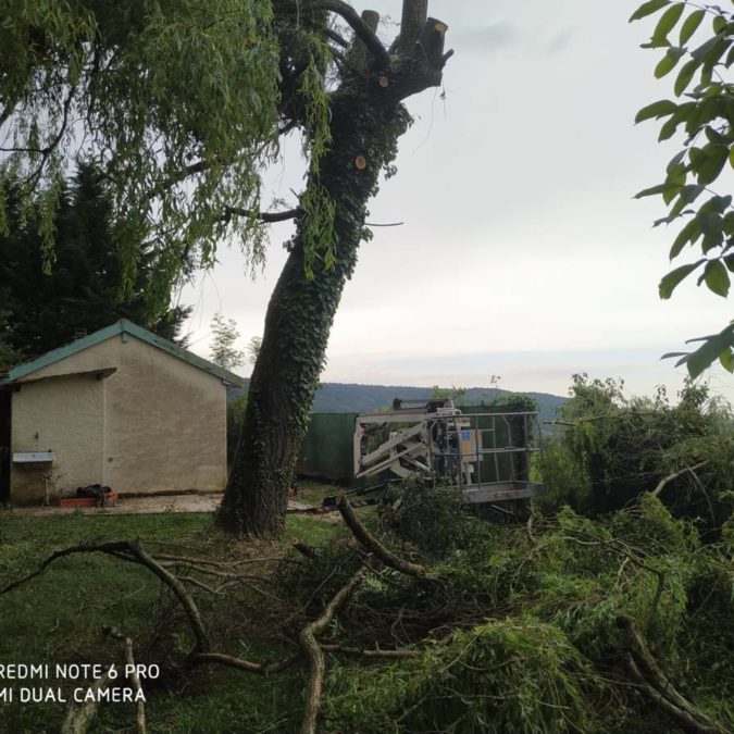 Elagage / Abattage / Broyage Dieulouard 6