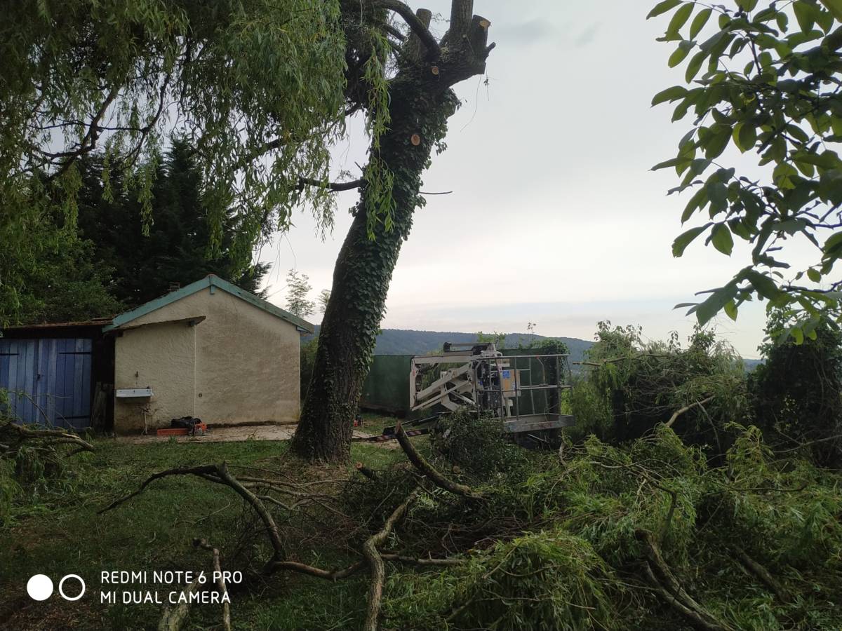 IMG_20220523_101822 | Dessein Paysage Abattage et démontage d’arbres à pont à Mousson Ligny-en-Barrois 0