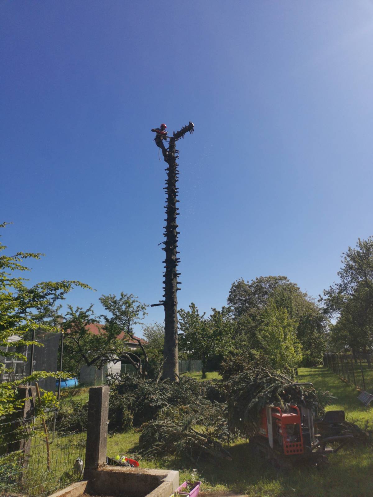 IMG_20200506_104505 3 COPIE | Dessein Paysage Fauchage/débroussaillage/abattage/tonte sur nancy,toul,pont à mousson, metz, jarny, briey, verdun étain, bar-le-duc, commercy saint-mihiel Écrouves 0