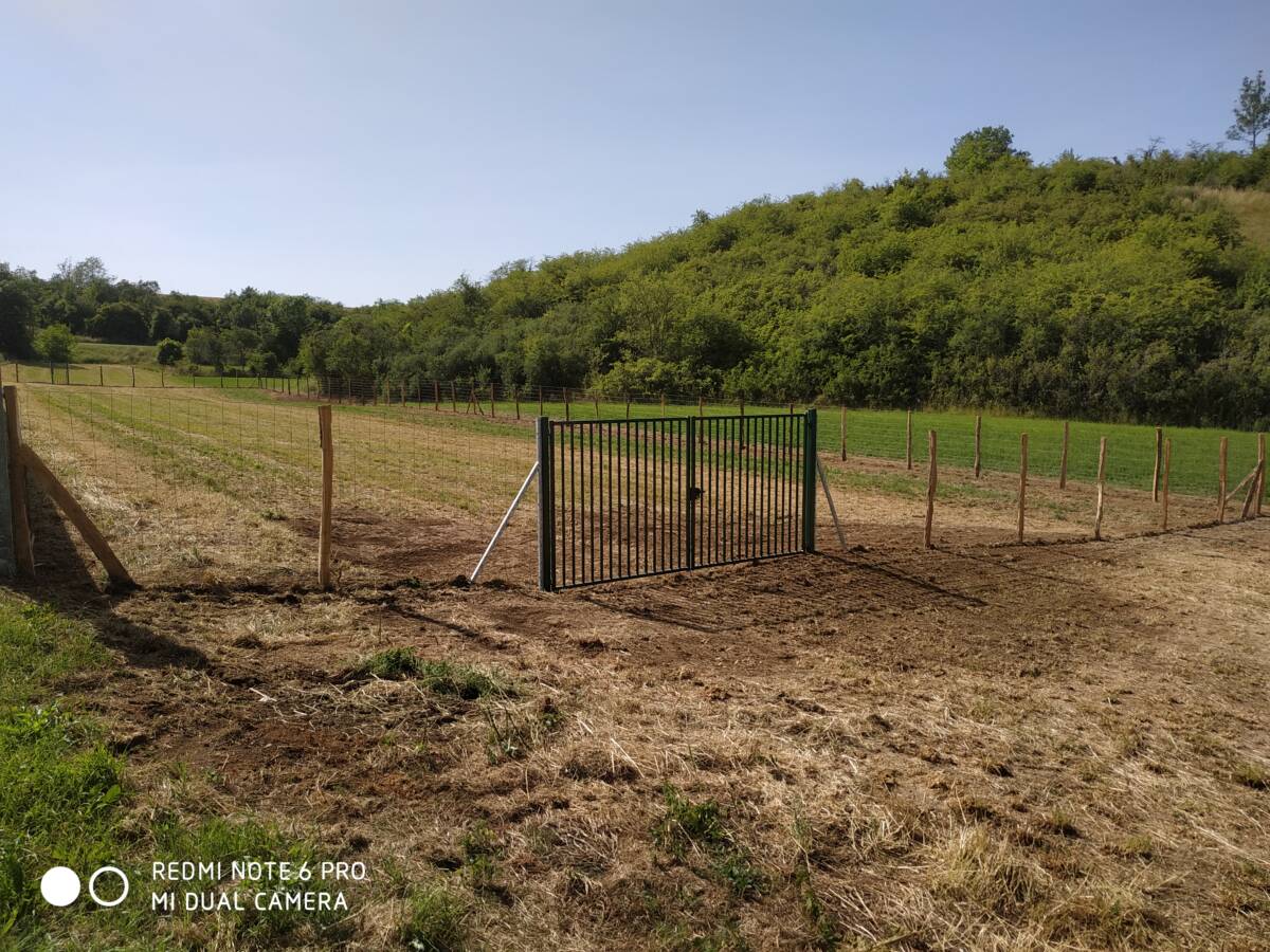 IMG_20220617_170228 1 | Dessein Paysage Pose de clôture rigide souple forestière agricole metz nancy toul commercy pont-à-mousson void-vacon verdun jarny briey chambley Foug