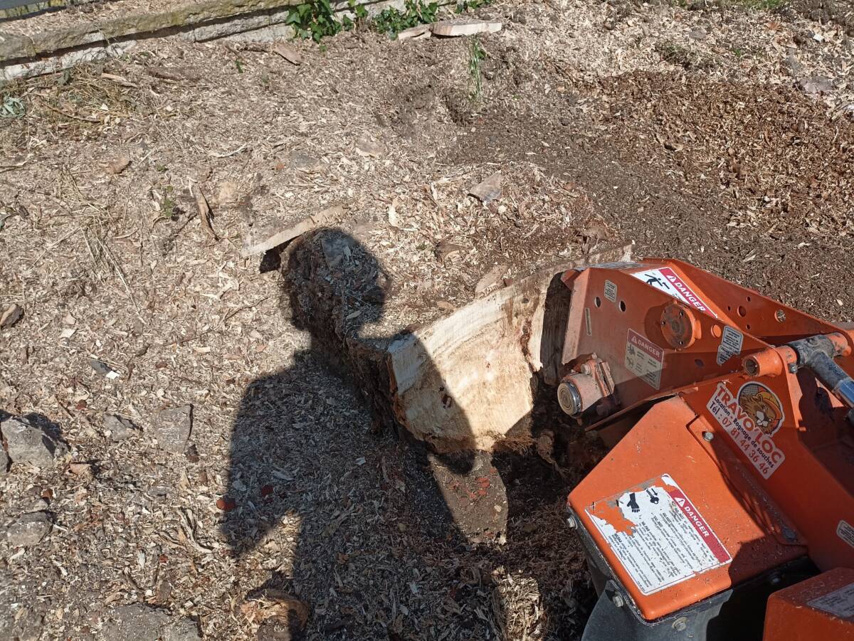 débroussaillage rognage taille élagage metz nancy toul pont à mousson commercy jarny verdun bar-le-duc Pagny-sur-Moselle