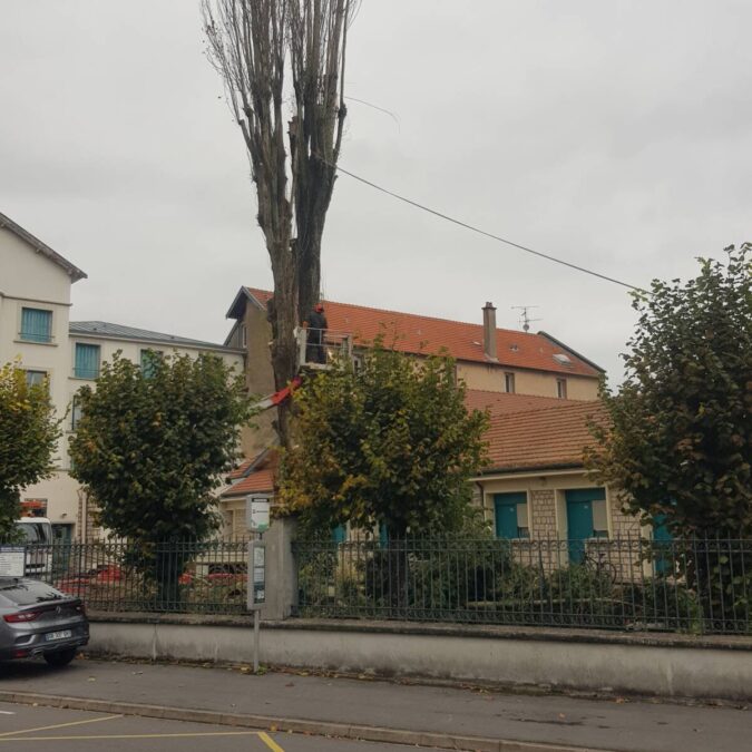 Elagage / Abattage / Broyage Commercy 8