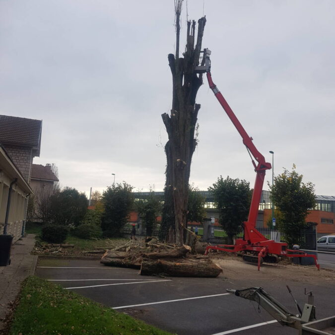 Elagage / Abattage / Broyage Liverdun 14