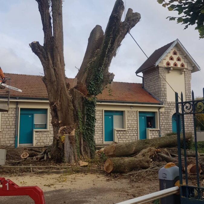 Elagage / Abattage / Broyage Écrouves 13