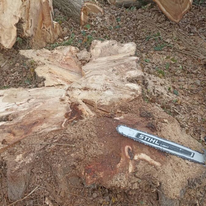 Elagage / Abattage / Broyage Saint-Mihiel 17