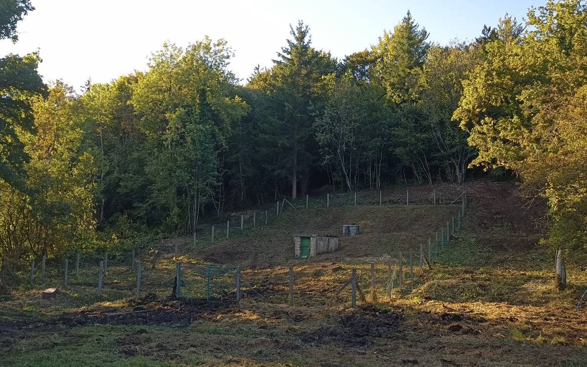 Revalorisation et commercialisation de nos d&eacute;chets verts sur metz, nancy, pont &agrave; mousson, commercy, void vacon, bar-le-duc, saint-mihiel, verdun, etain, jarny Bl&eacute;nod-l&egrave;s-Pont-&agrave;-Mousson