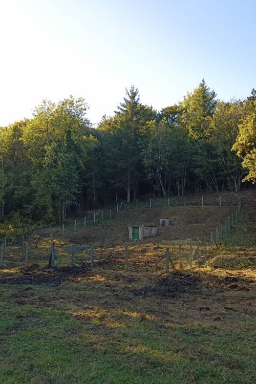 Revalorisation et commercialisation de nos déchets verts sur metz, nancy, pont à mousson, commercy, void vacon, bar-le-duc, saint-mihiel, verdun, etain, jarny Blénod-lès-Pont-à-Mousson